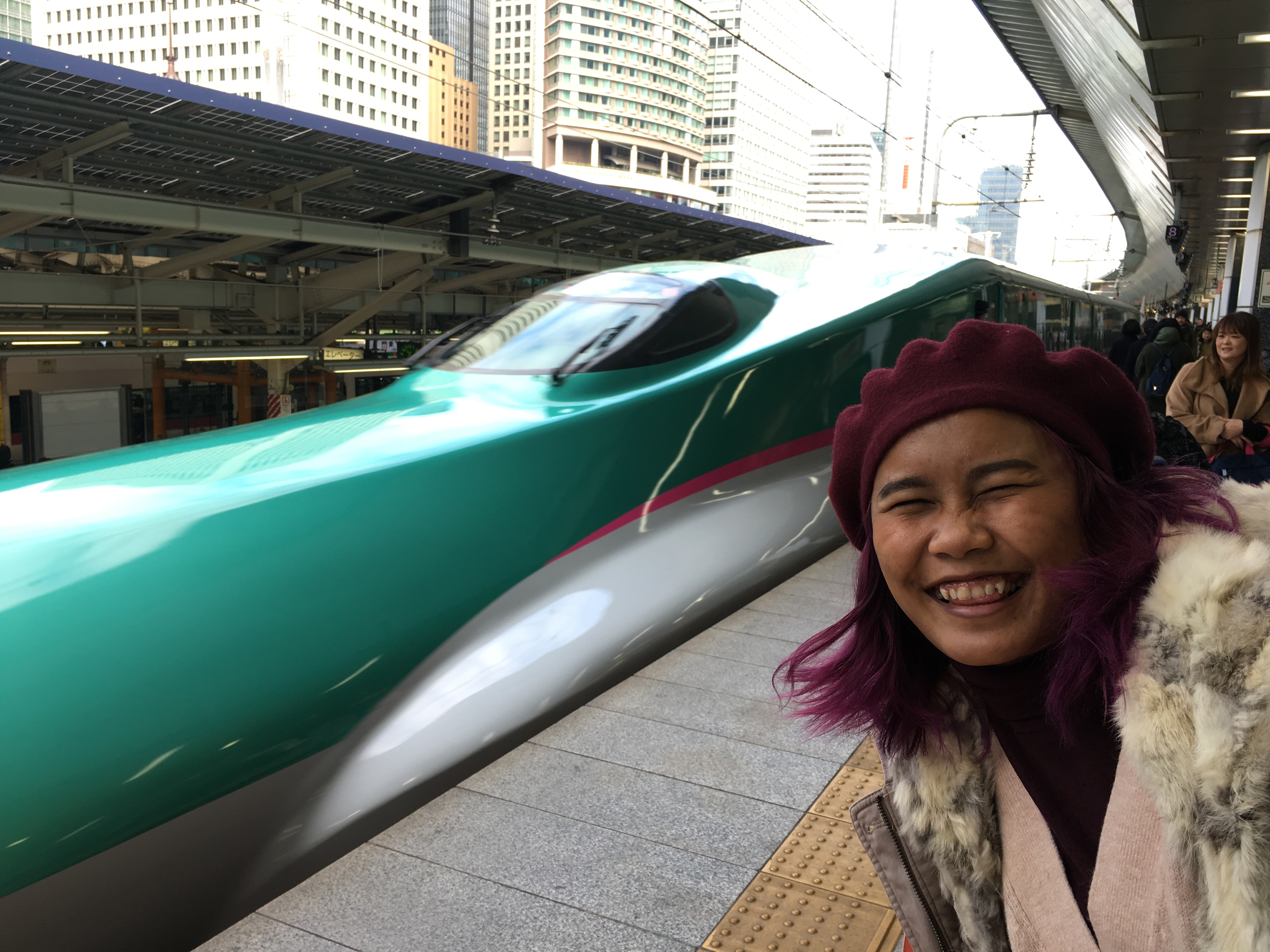 Shinkansen E5 series
